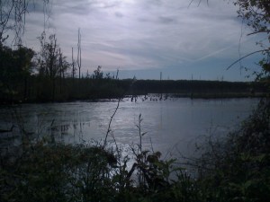 Photo by Peter Spero