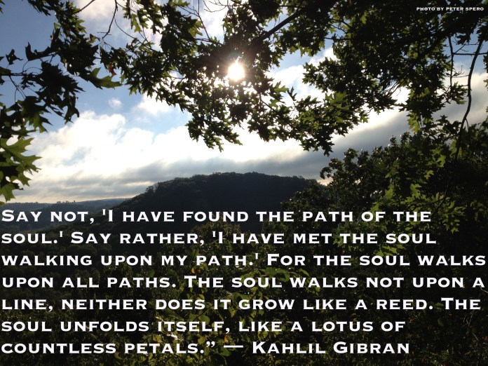 photo by peter spero