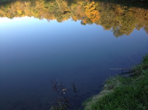 Photo by Peter Spero