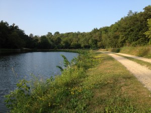 Photo by Peter Spero