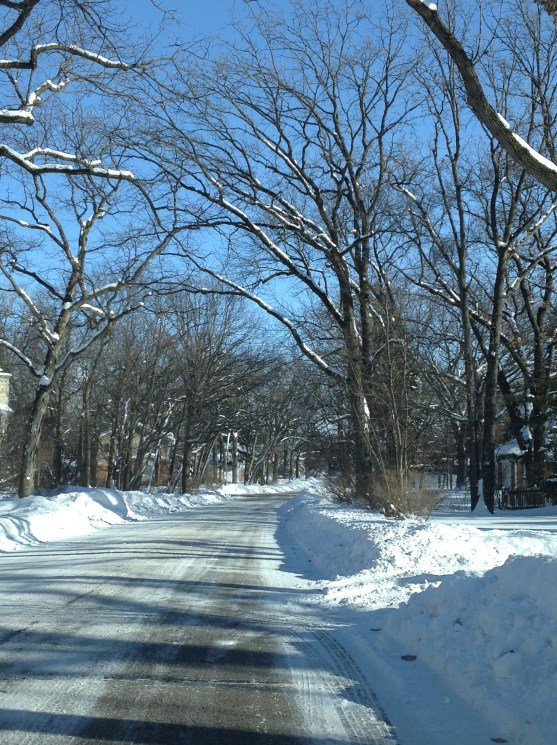 Photo by Sally Spero