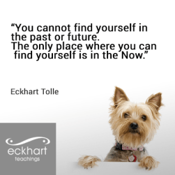 By Eckhart Tolle